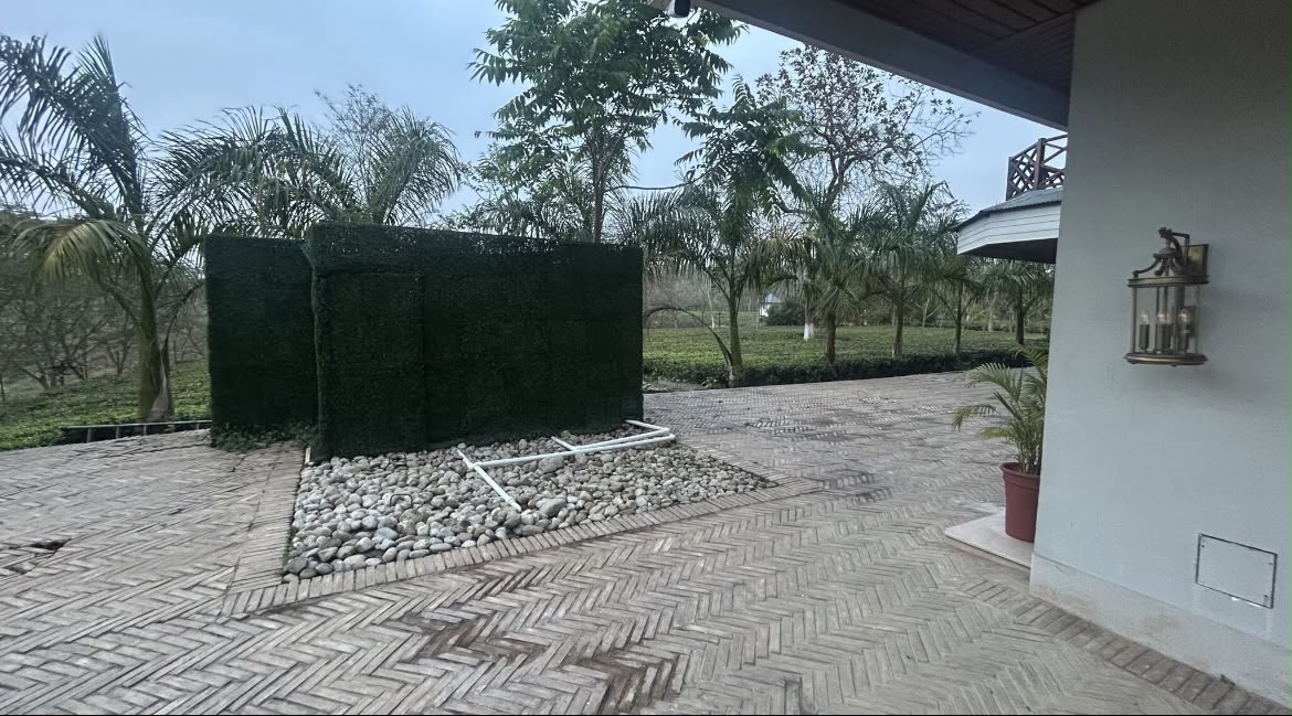 Vaani Greens Resort 20 KLD ETP Kaziranga